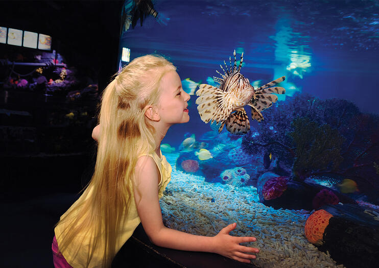 SEA LIFE® – Charlotte-Concord Aquarium